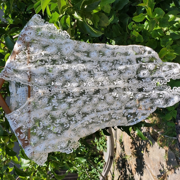 Elegant Lace Camisole in Cream - Picture 1 of 8